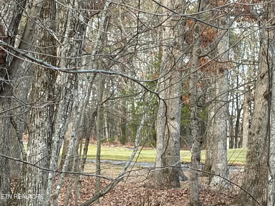 118 Baltusrol Rd, Crossville, TN 38558 - #2