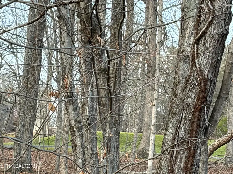 118 Baltusrol Rd, Crossville, TN 38558 - #3