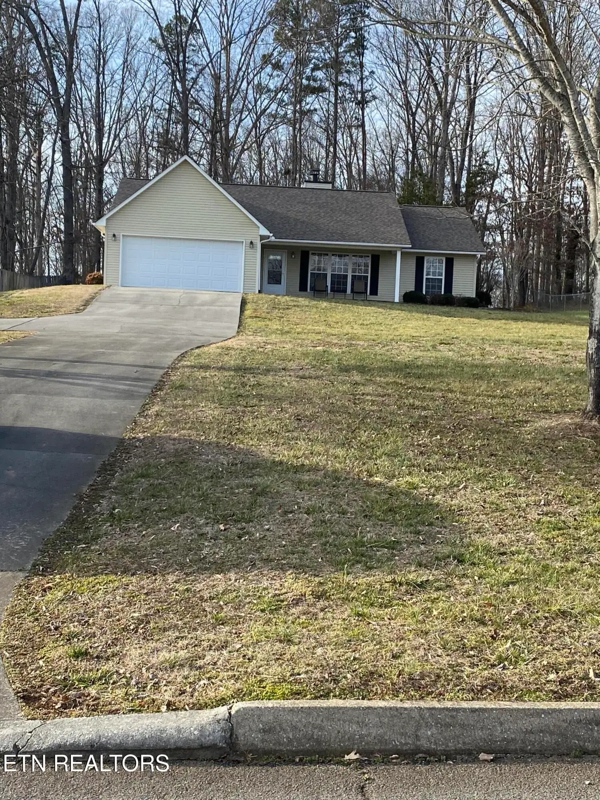 233 Shenendoah Drive, Friendsville, TN 37737 - #1
