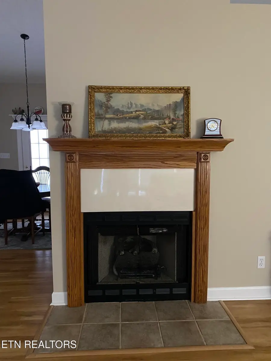 233 Shenendoah Drive, Friendsville, TN 37737 - #2