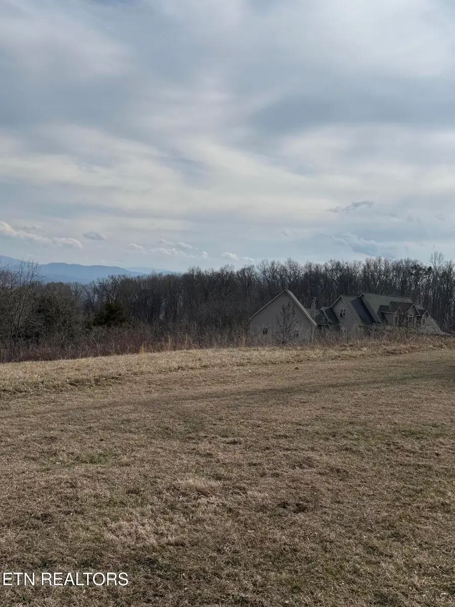 2826 Homestead Drive, White Pine, TN 37890 - #2