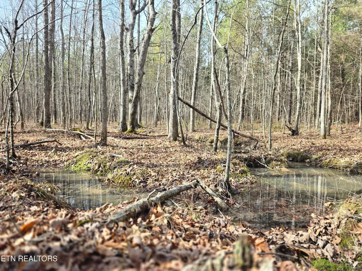 0 Cottonwood Tr, Sunbright, TN 37872 - #1