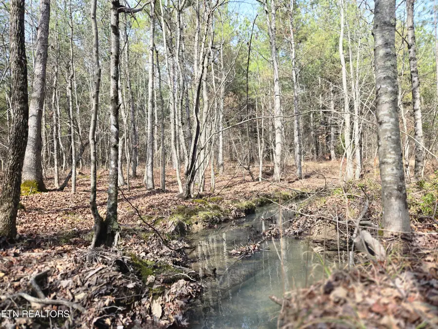 0 Cottonwood Tr, Sunbright, TN 37872 - #2