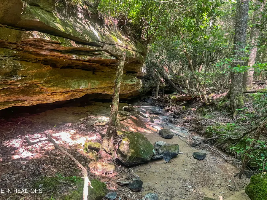 Willie Boyatt Rd, Oneida, TN 37841 - #2