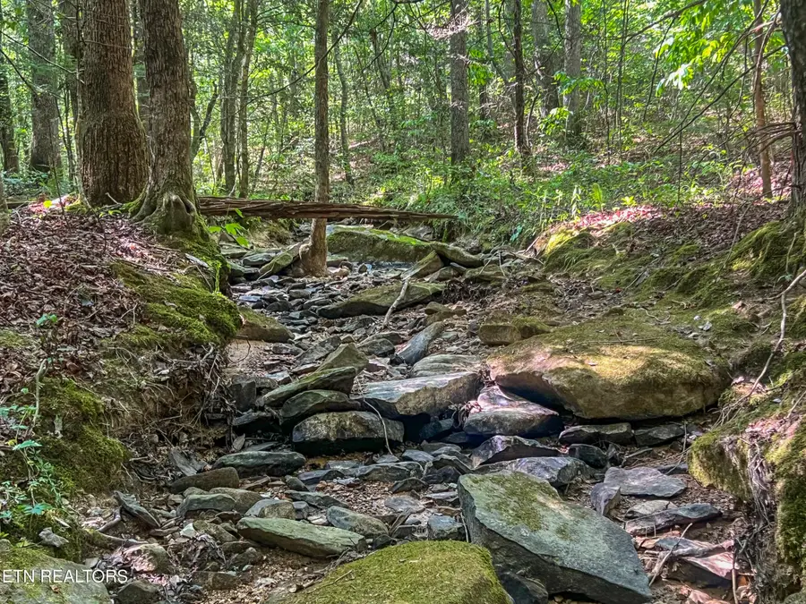 Willie Boyatt Rd, Oneida, TN 37841 - #3