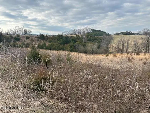 000 Old Parrottsville Hwy, Parrottsville, TN 37843 - #3