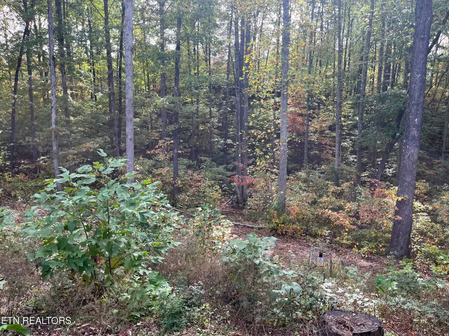 Cozy Den Lane, Crawford, TN 38554 - #2