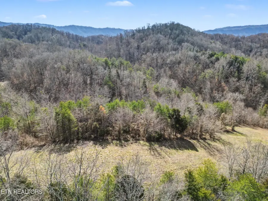 Stanton Rd, Seymour, TN 37865 - #3