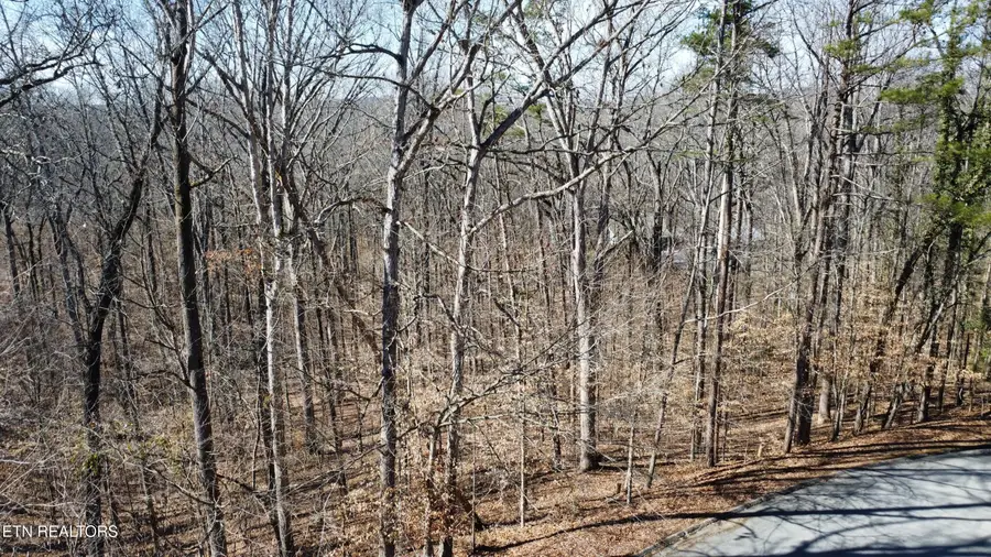 Havenwood Drive, Maryville, TN 37804 - #2