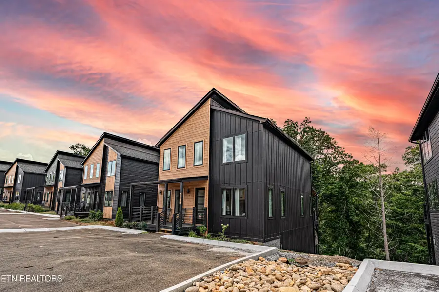 1317 Reedmont Way, Sevierville, TN 37876 - #3