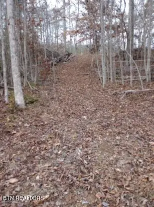 252 Haven Way, Lenoir City, TN 37771 - #1