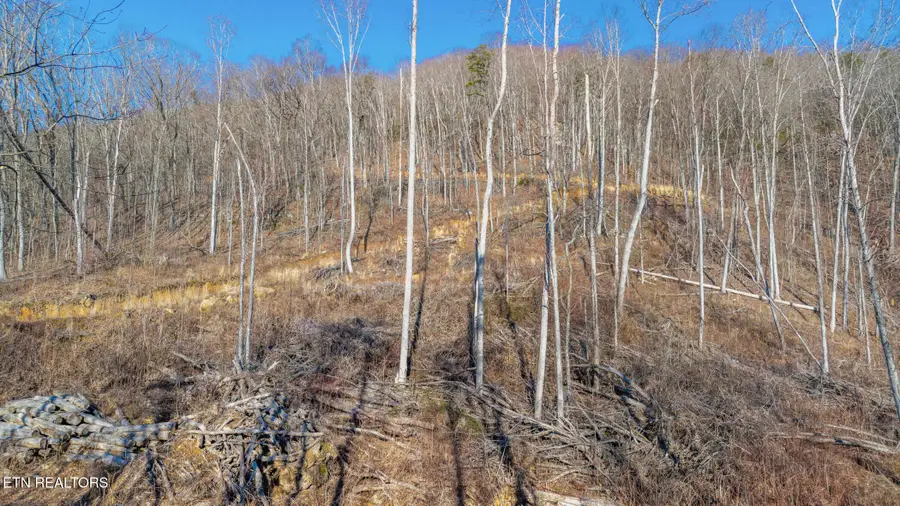 207 Eagle View Lane, Jacksboro, TN 37757 - #3