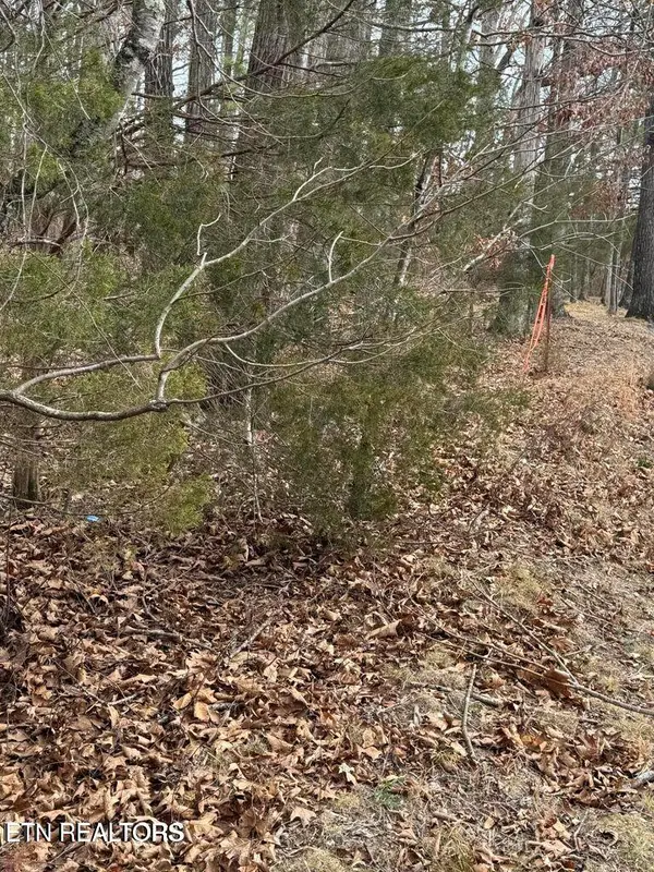 321 Ritchey Rd, Loudon, TN 37774