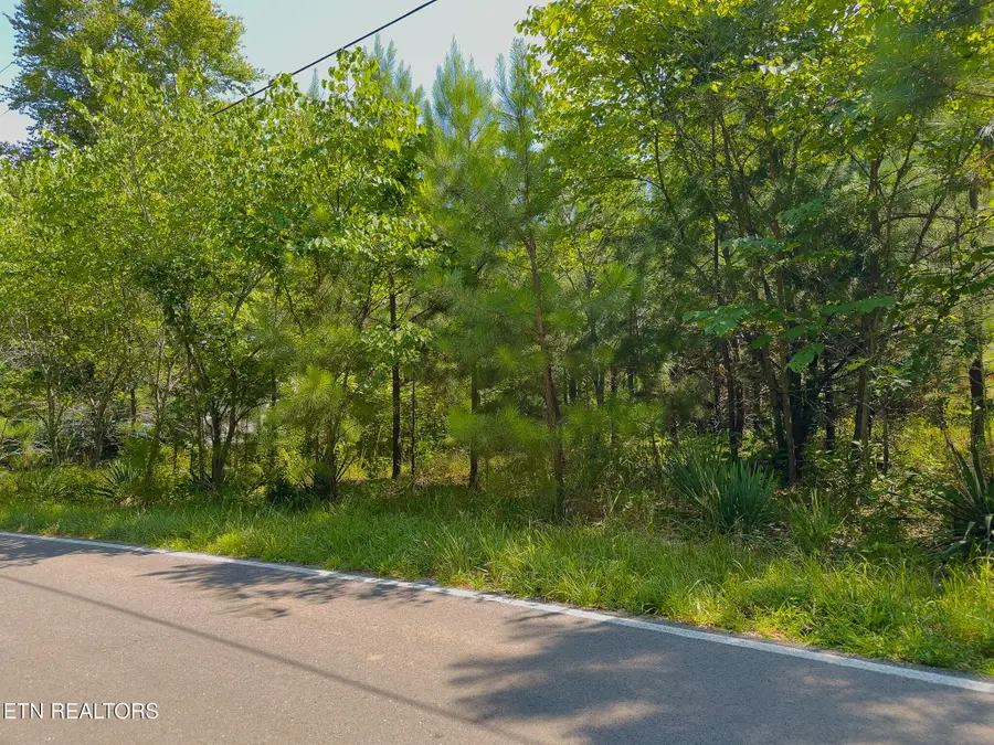 55 & 56 Lillydale Rd, Byrdstown, TN 38549 - #2