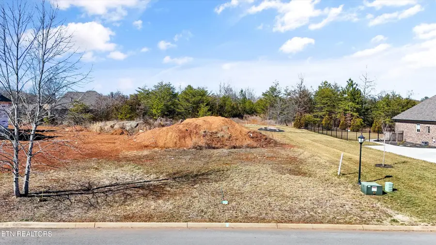 1645 Stone Harbor Blvd, Lenoir City, TN 37772 - #3