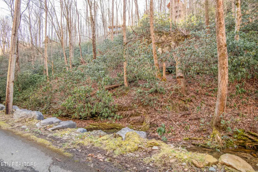 N Clear Fork Rd #Lot 4, Sevierville, TN 37862 - #2