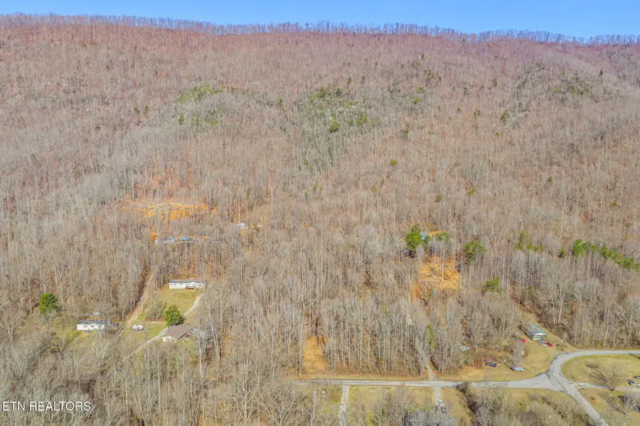 Bazel Rd #063.00, Harriman, TN 37748 - #2