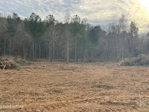 0.79 Robbies Lane, Decatur, TN 37322