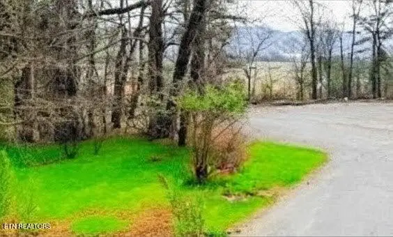 181 Trail View Drive, Loudon, TN 37774 - #3