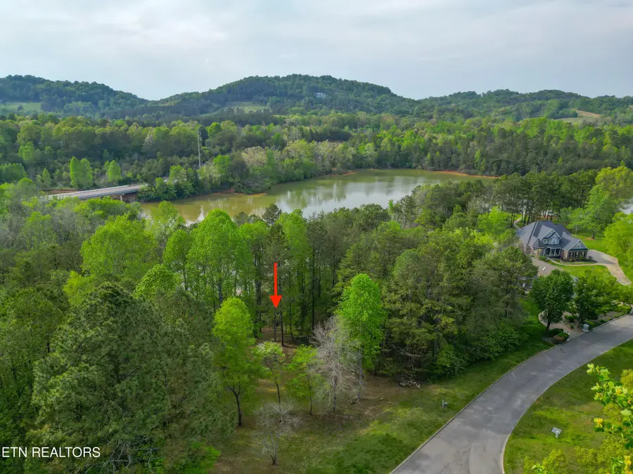768 Wood Duck Drive, Vonore, TN 37885 - #3