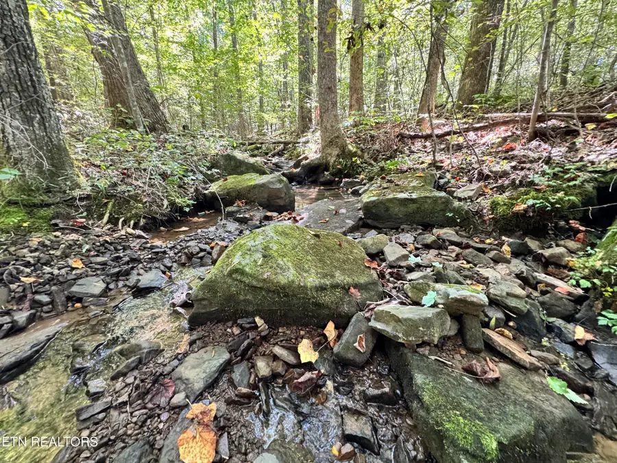 3773 Glade Creek Rd, Sparta, TN 38583 - #2