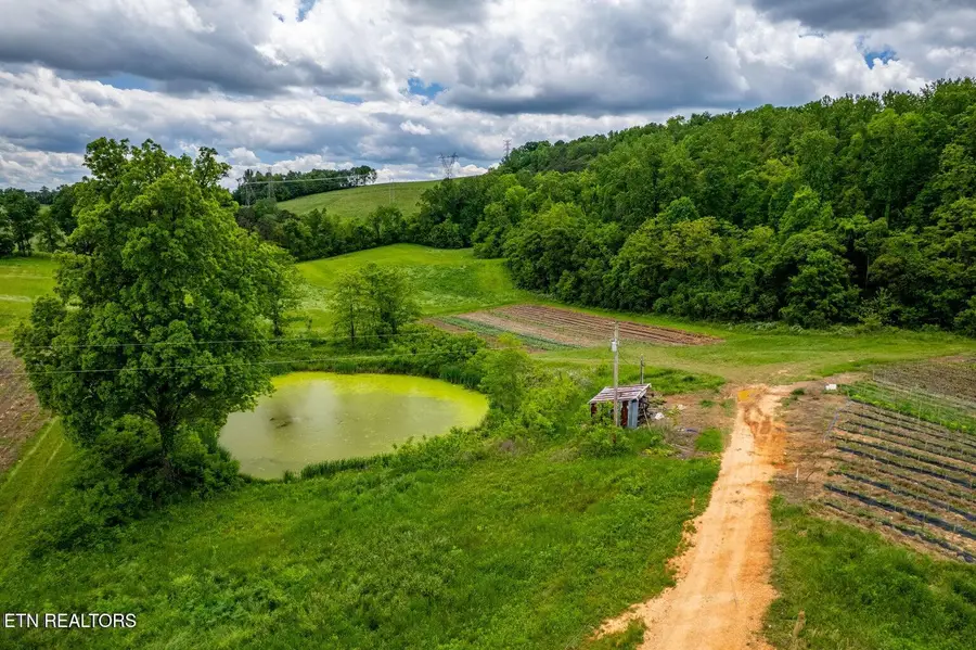 Greenlee Rd, Rutledge, TN 37861 - #2