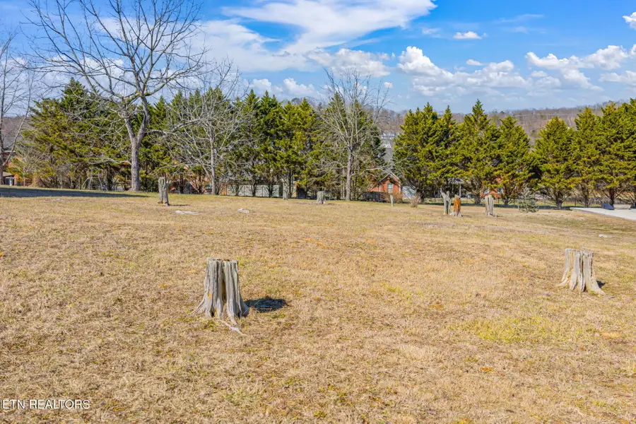 146 Hartford Village Way, Kingston, TN 37763 - #2