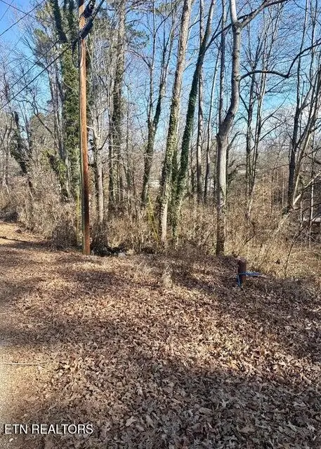 Lot 41,42 Mayflower Lane, Dandridge, TN 37725 - #3