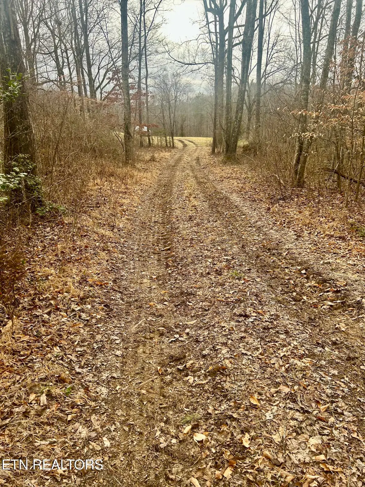 River Rd, Jacksboro, TN 37757 - #1