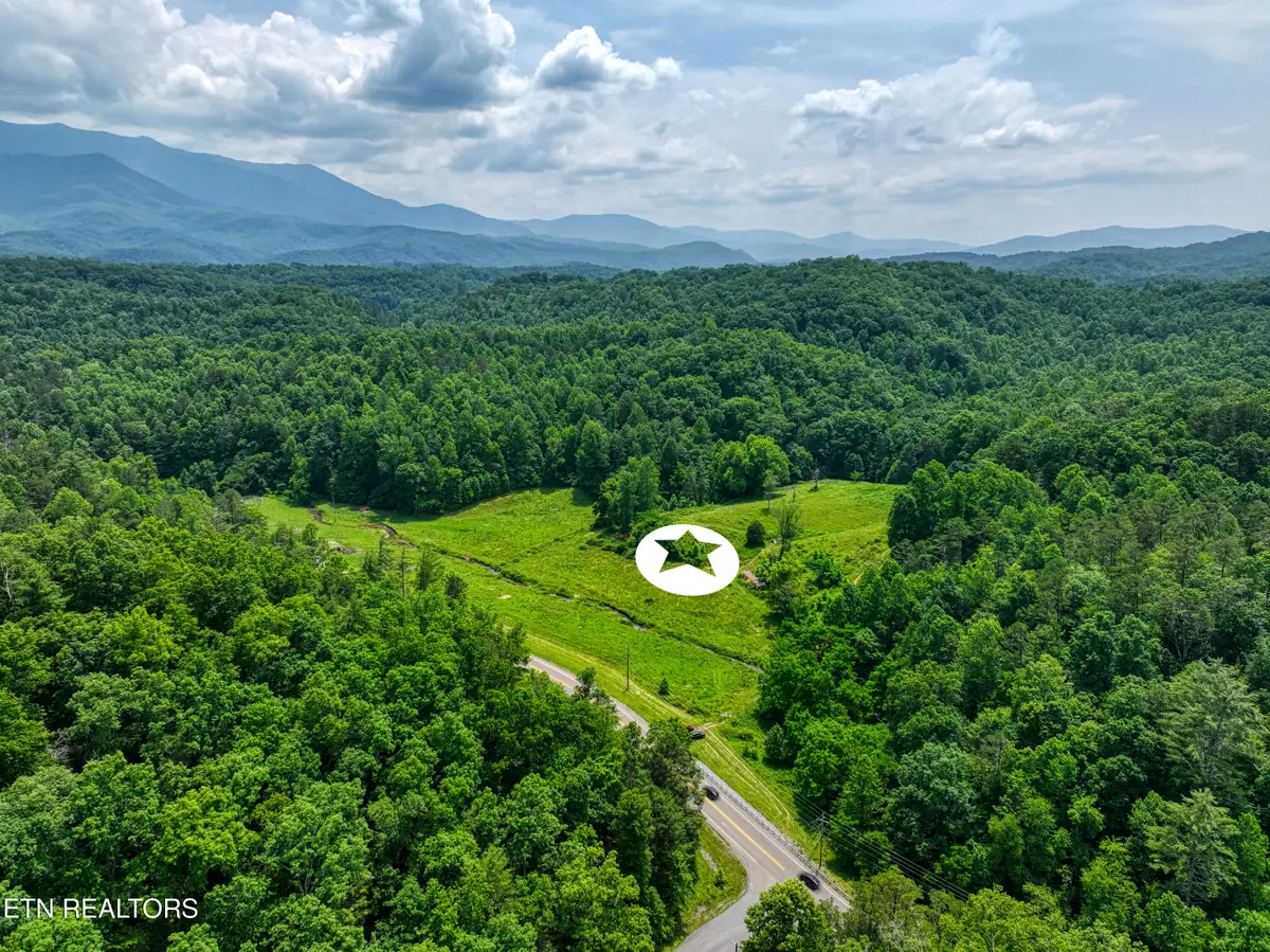 1A Birds Creek Rd, Gatlinburg, TN 37738 - #1