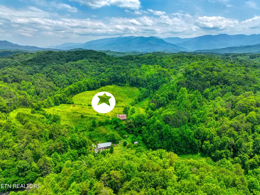 1A 4255 Lower Powdermill Rd, Sevierville, TN 37876 - #2