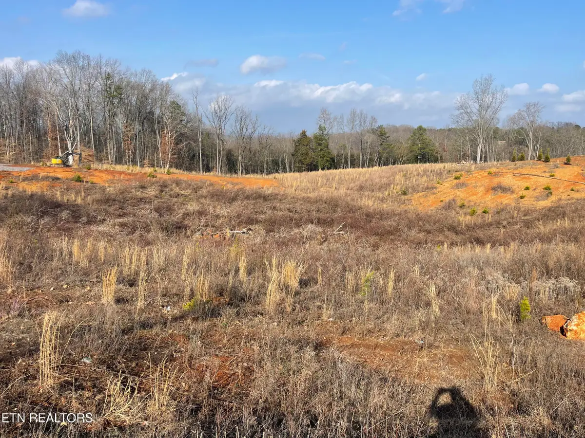 Lot 10 Laura Boling Loop Rd, Strawberry Plains, TN 37871 - #1