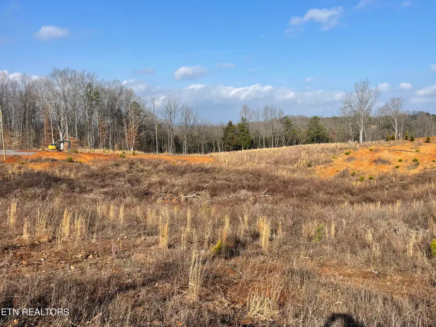 Lot 10 Laura Boling Loop Rd, Strawberry Plains, TN 37871 - #2