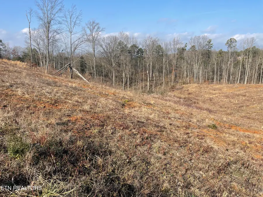 Lot 12 Laura Boling Loop Rd, Strawberry Plains, TN 37871 - #2