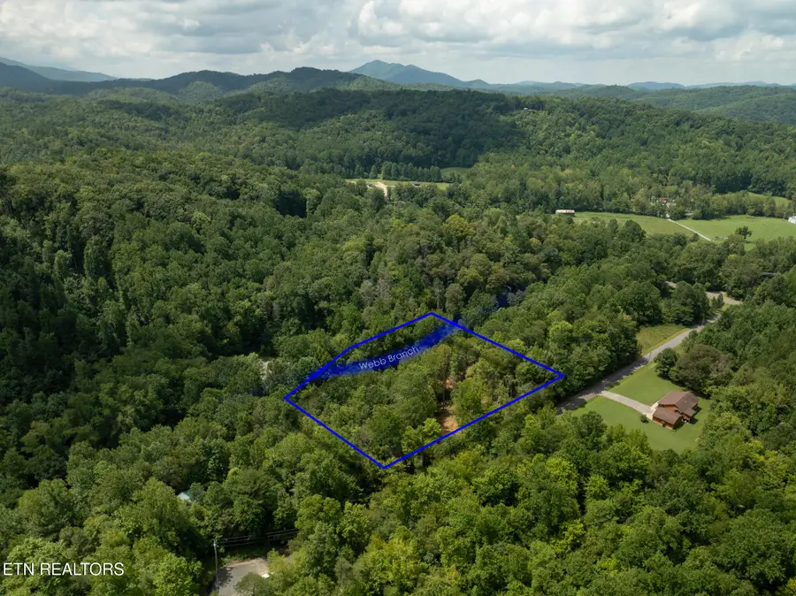 Lot 5/6 Ardell Way, Cosby, TN 37722 - #2