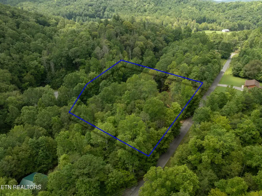 Lot 5/6 Ardell Way, Cosby, TN 37722 - #3