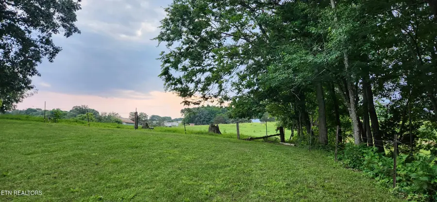 11121 Mckinney Rd, Mascot, TN 37806 - #3