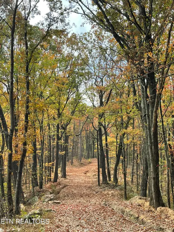 150 Timber Oaks Lane, Pioneer, TN 37847