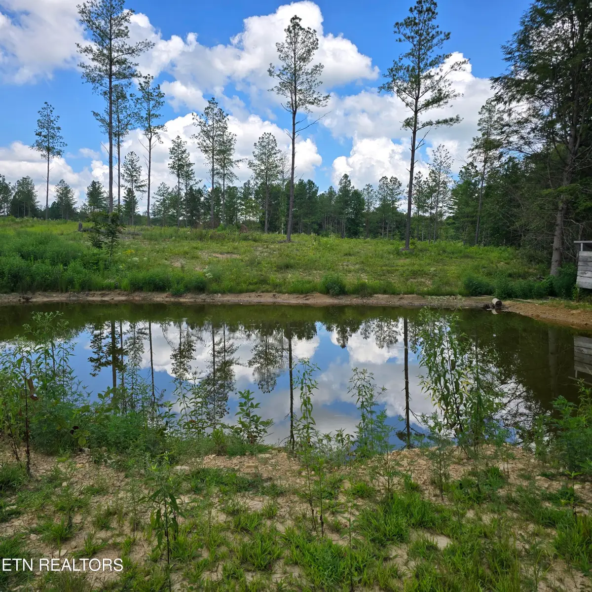 Tract 8 Boone Lane, Sunbright, TN 37872 - #1