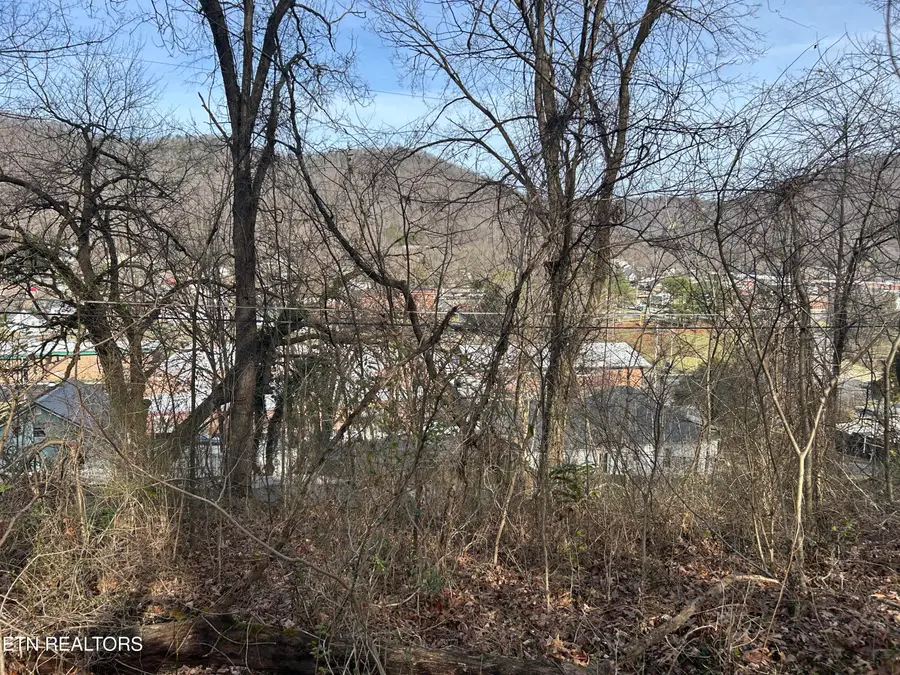 W Chestnut St, Lafollette, TN 37766 - #2