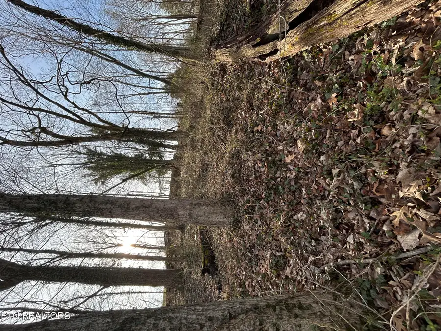 W Chestnut St, Lafollette, TN 37766 - #3