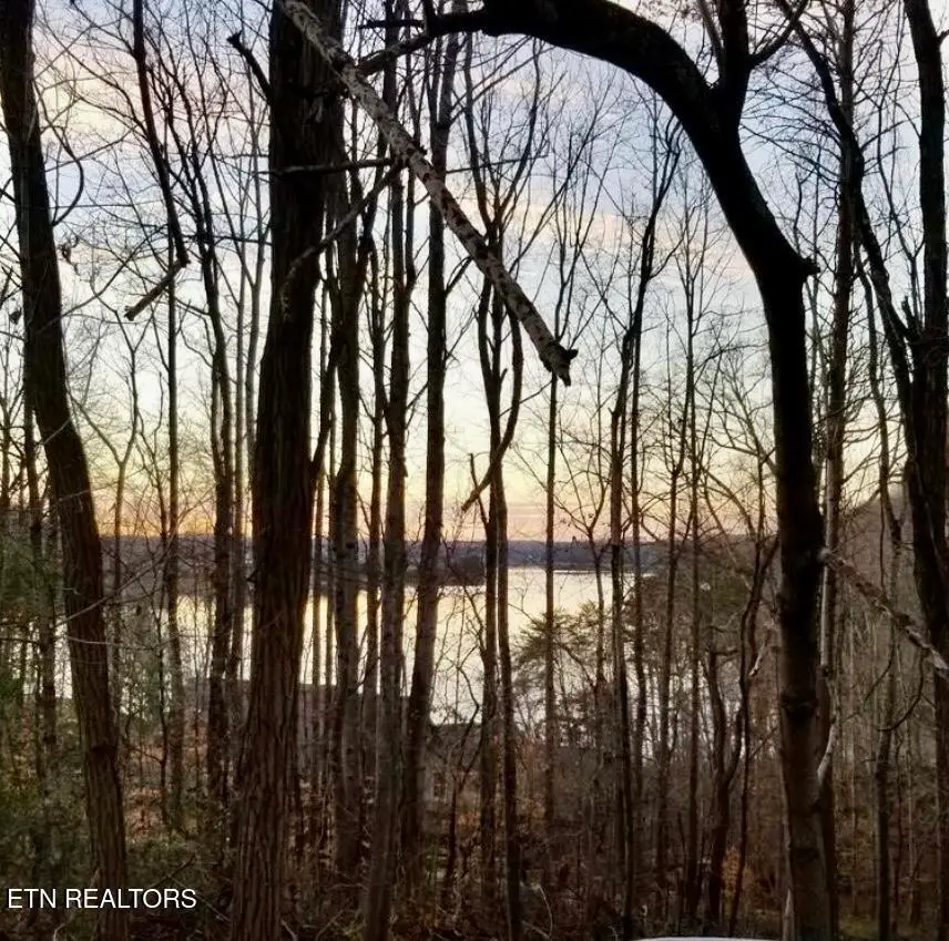 196 E Cove Drive, Greenback, TN 37742 - #1