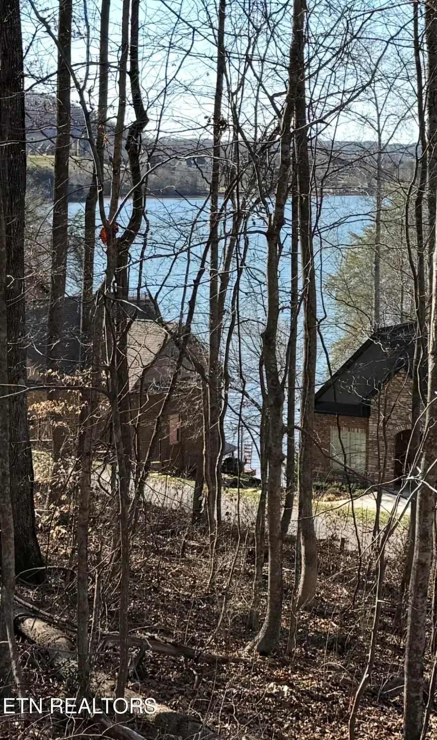 196 E Cove Drive, Greenback, TN 37742 - #3