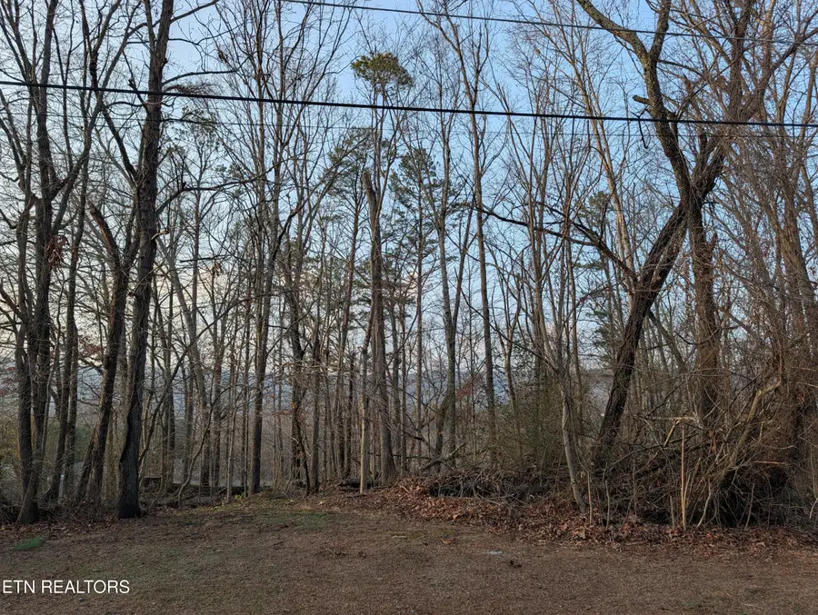 000 Pine Breeze Circle, Rockwood, TN 37854 - #2