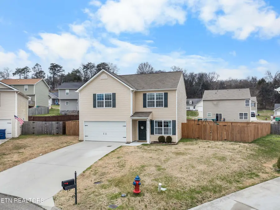 9405 Calla Lilly Lane, Mascot, TN 37806 - #2