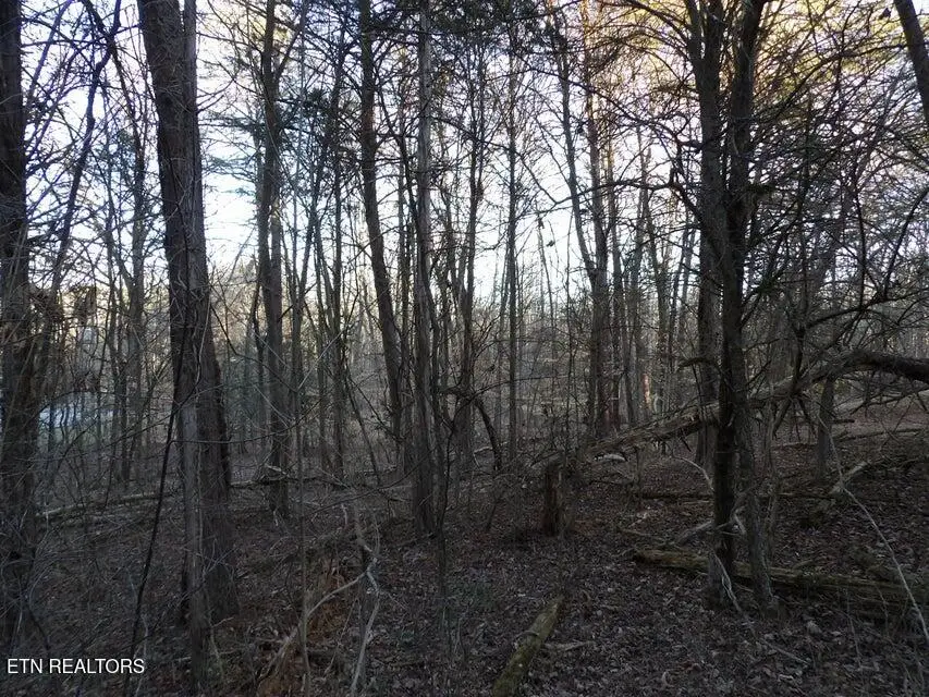 Lot 1060 Mountain View Lane, Baneberry, TN 37890 - #1