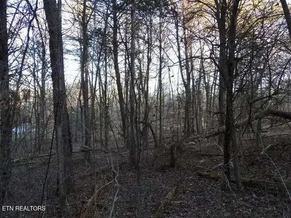 Lot 1060 Mountain View Lane, Baneberry, TN 37890