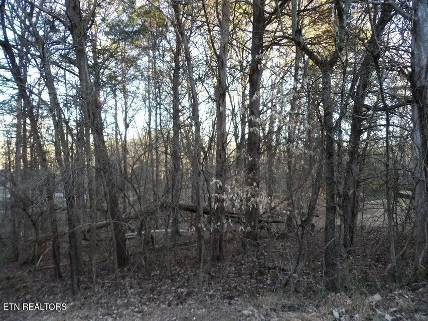 Lot 1060 Mountain View Lane, Baneberry, TN 37890 - #2