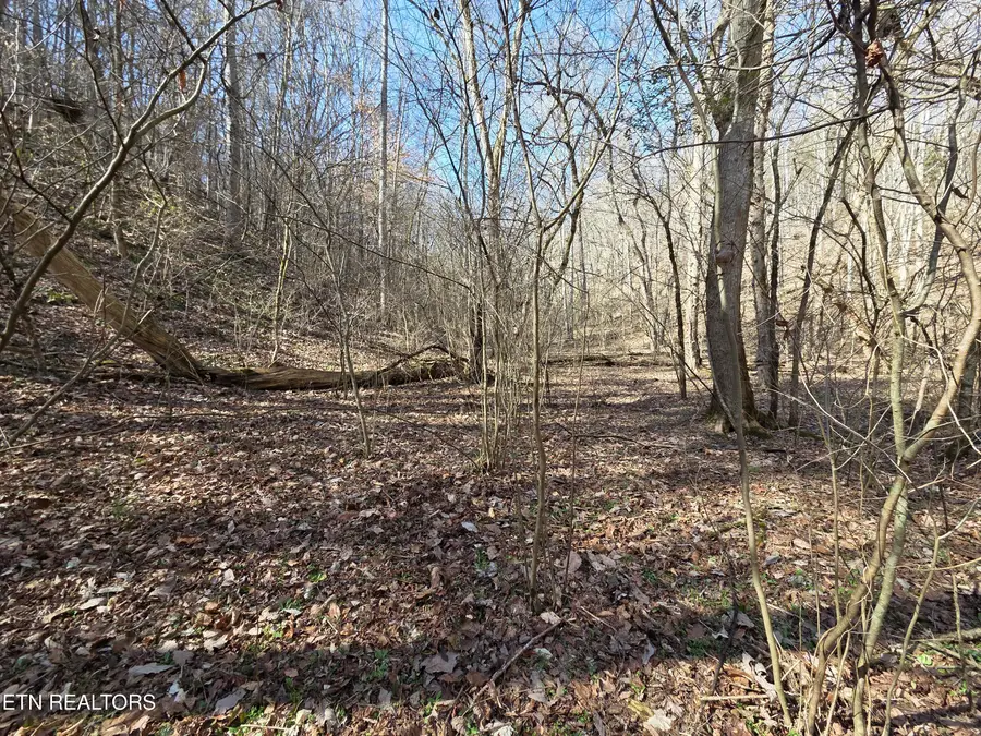 Baysinger Rd, Newport, TN 37821 - #3