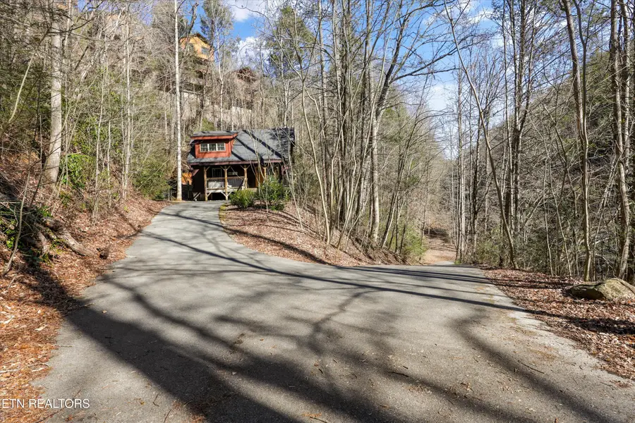 253 Cartertown Rd, Gatlinburg, TN 37738 - #2